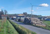 Ewiger Kran: Nicht zu Schön-Aasen passt der ewige Kran in der Wiesengasse; er sollte nicht Aasens vergessener Eiffelturm werden.