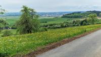 Panorama-Blick vom Panoramaweg von Aasen auf Donaueschingen