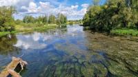 Donau-Dorf Pfohren: Impressionen an der jungen, schönen, blauen Donau