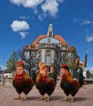 Hahnenkampf zwischen Jochen Amma, Sandra Reich und Niko Reith um Bürgermeisterposten im Donaueschinger Rathaus?