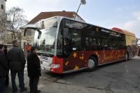 Rosenmontag in Umkirch