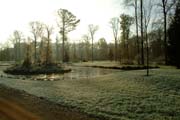 Auch hier Natur pur: Wilde Insel im Fulwellpark