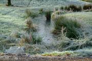 Wildes Bächlein im Fulwellpark