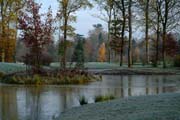 Der Grau-Reiher sitzt auf der Insel im Fulwellpark