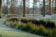 Wilde Bachlandschaft im Fulwellpark
