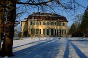 Baumspiegelungen im Schnee des Fulwellparks