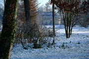 Wildromantischer Fulwellpark