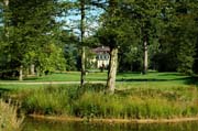 Durchblick durch stehen gelassene Wildnis im Queen-Auguste-Victoria-Park