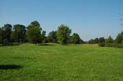 Die Schlosswiese im Fulwellpark - auf ihr blühen im Frühjahr 300.000 Osterglocken