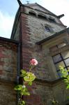 Martin-Luther-Kirche mit Rose