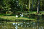 Wassser als Spiegel der Natur im Queen-Auguste-Victoria-Park