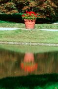 Selbst die Details spiegeln sich im Wasser des Queen-Auguste-Victoria-Park