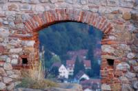 Große Fensteröffnungen für viel Sicht