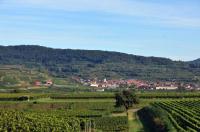 Am Ende ihres Lebens sind die "Tengelmann-Milliardäre" Helga und Erivan Haub im „göttlichen Paradies“ angekommen: In den Weinbergen des Kaiserstuhls.