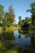 Blick über die Insel zum Schloss -  Wasser als Spiegel der Natur im Queen-Auguste-Victoria-Park