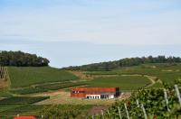 Erivan Haub im  Schoße des Kaiserstuhls: Haubs neue Abril-Weinburg in Bischoffingen