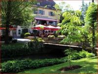 Einer der schönsten Bäume der Welt blüht künftig im Europa-Park vor dem Schloss Balthasar: Die Aesculus indica.